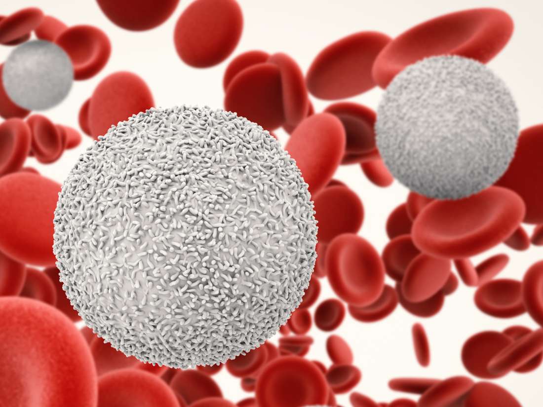Какими продуктами можно повысить лейкоциты в крови после химиотерапии thumbnail