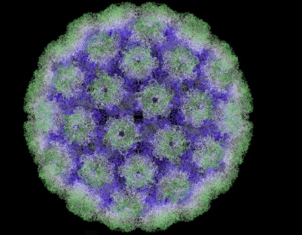 Фотография вируса папилломы человека